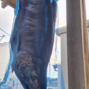 九ヶ月目クリア🎊