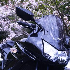 ありがとうニンジャ