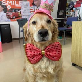 らりあ 7歳の誕生日