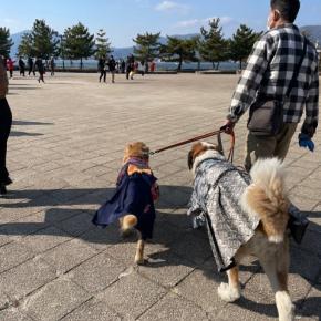 冬休みの思い出 ③