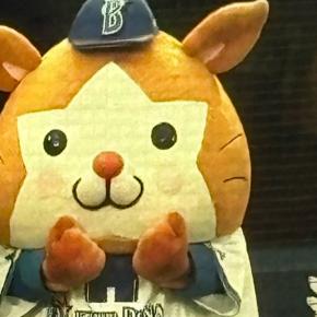 昨夜、NHKにスターマンが！