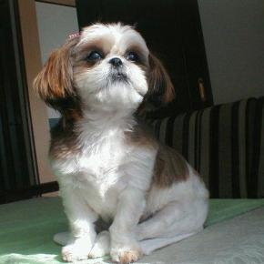 やってしまった