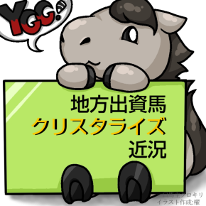 【地方競馬】元旦から始動！YGG地方出資馬クリスタライズ近況(2025/12/29)