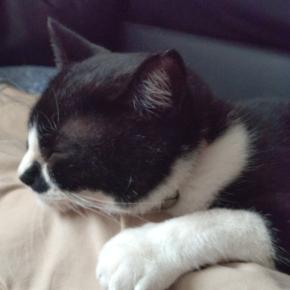 7/11金曜日、雨のち晴れ。就労支援の利用に向けて。