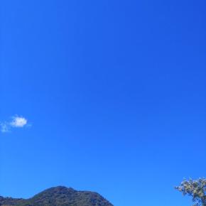 7/23水曜日、晴れ。就労体験1日目。