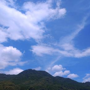 8/6木曜日、晴れ。