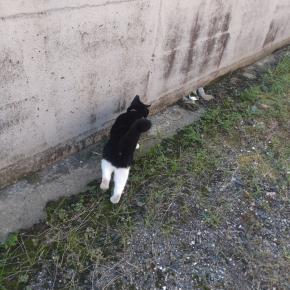 9/6土曜日。電話で？