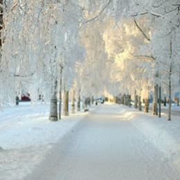 正月休み最終日の過ごし方