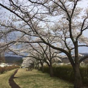 「みんな幸せに」