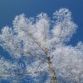 【日本】冬の奥飛騨 [Japan] Winter Okuhida