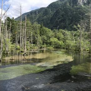 山賊焼き（松本 お晩菜bar ten)