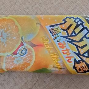 今日12月27日から1月4日まで病院休み。