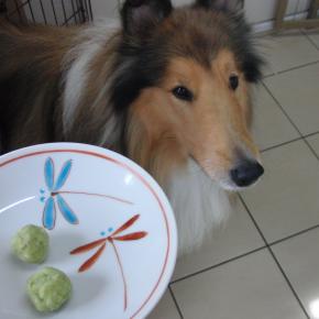 カイカイ( ;∀;)