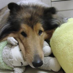 父さん、休む暇なし！