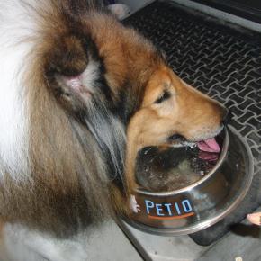 雨が降っても(*^^)v