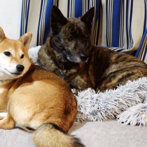 営業妨害されて困ってます