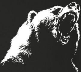 徳島・那賀町 クマ目撃情報 [2025.12.2]