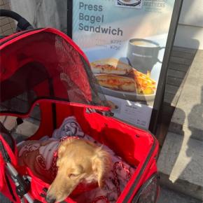 MANDARINE BROTHERS直営店〜LIZさんと行ってきました