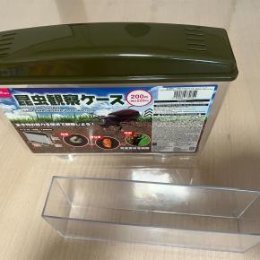 DAISOで観察ケース（魚用として使用）を買いました