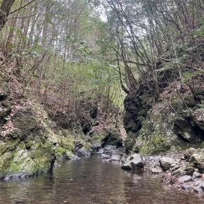 2025.4.12 TROUT_DESIGN オリジナルスピナー〜梼原川支流のアマゴ