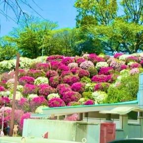 少ない道具でミニキャンプ