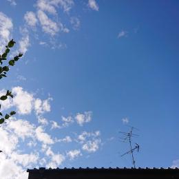 年末年始の休暇に入った。