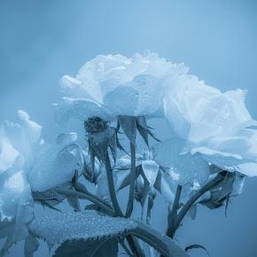 強く生きないと