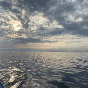 タイラバ＆SLJ釣果情報｜新潟寝屋港発粟島近海2022年7月26日