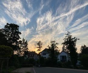 「私の未来予想図」1982.11.6.