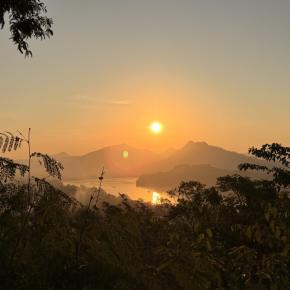 2026年、はじまりの日。言葉より行動で、ここから取り返す一年にする