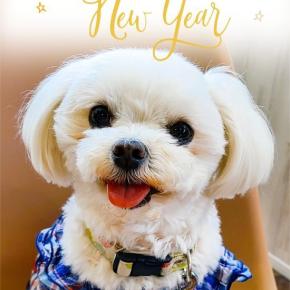 あけましておめでとうございます。