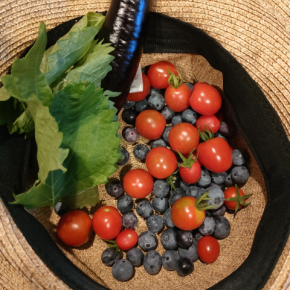 最近はベランダがいらないらしい