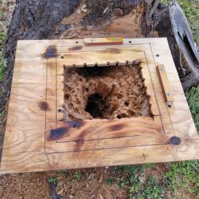 巣枠式待ち箱を設置