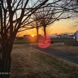日の出、焼き芋、イチョウの枝打ち