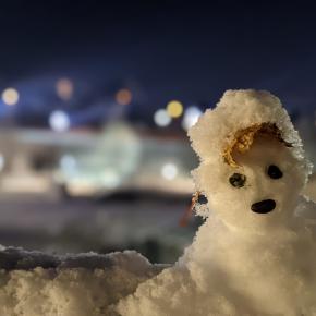 勝手に雪だるま選手権