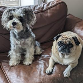 秋の体重測定。