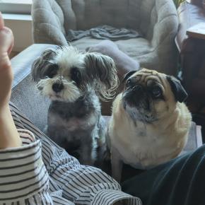 今までで最高の食いつきご飯を見つけた