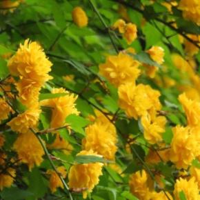 北斗の拳と戦争の時代2026