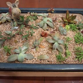 最近ハマってる事と良い○○の日