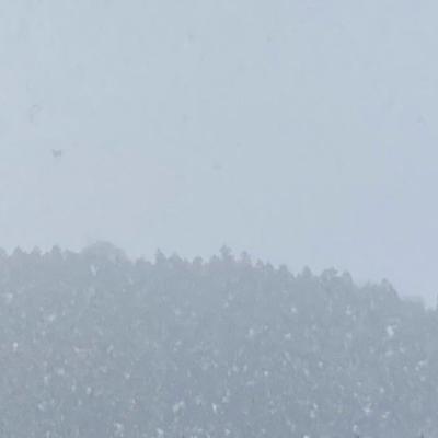 少しワクワク。