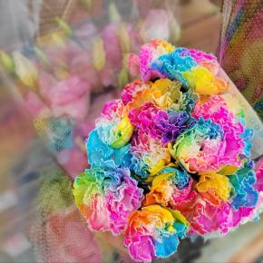 11月1日 雨は大丈夫でしたか-花国湘南台店お花の日記