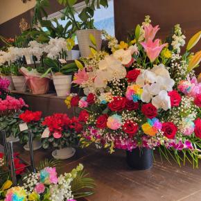 12月10日笑顔のお花さんたち‐花国湘南台店お花の日記