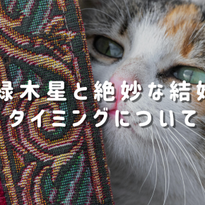四緑木星の絶妙な結婚のタイミングについて