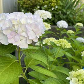 在宅介護 ブログ投稿10日目