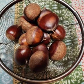 〔日盤吉方〕11/3（月）六白金星を用いた東北方位で秋の味覚「栗」を収穫