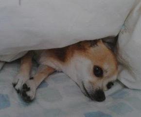 山の朝ごはんなどいろいろ