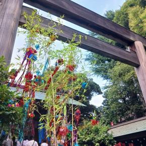 七夕の東京大神宮