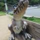 丹波竜の里公園にある、ジュラシックベンチでございます。