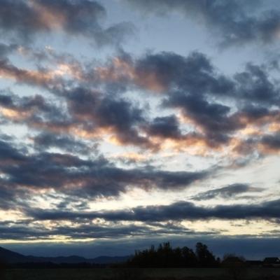 2026年の始まり！今年もよろしくお願いします♪