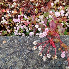 仕事は順調か？